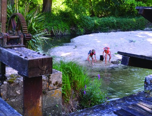 Au bord de l’eau